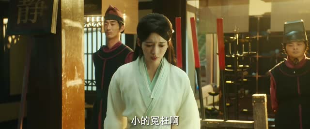 【双花镜】20集短剧免费高清在线观看