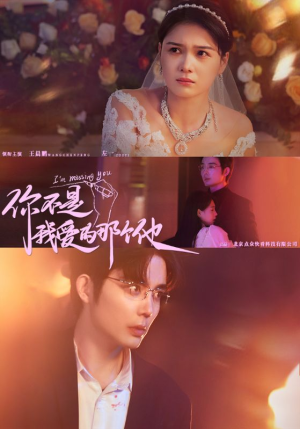 【你不是我爱的那个他】54集免费在线短剧全集赏