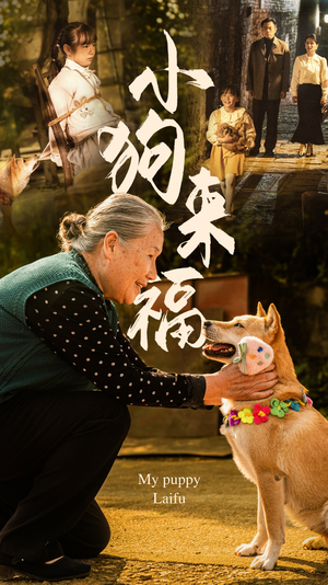 【小狗来福】30集免费短剧畅享全集看