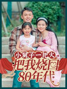 【小舅子一把火把我烧回80年代】100集在线短剧完整观看
