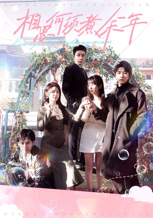 【相思何须煮余年】33集短剧免费全集视看