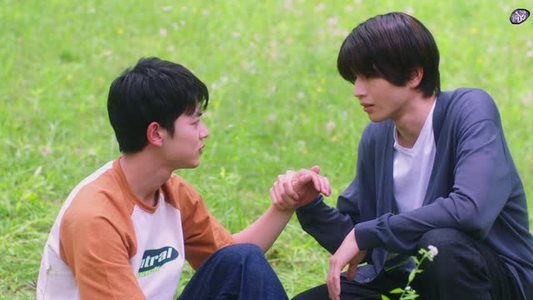 【向阳之处必有声】12集短剧在线免费畅快赏