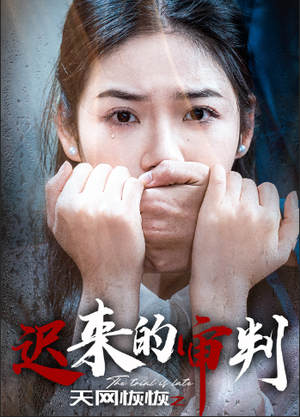 【天网恢恢之迟来的审判】31集免费短剧在线速看