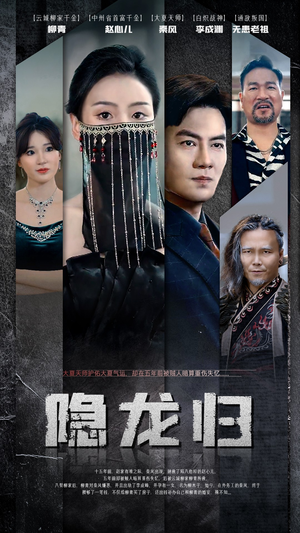 【隐龙归】80集短剧免费在线完整赏