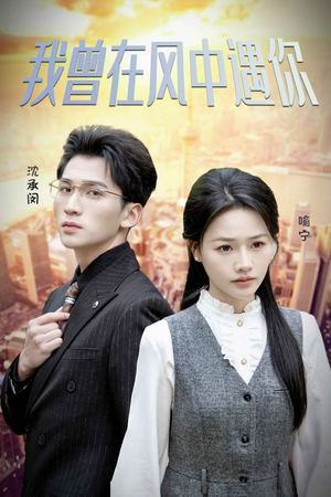 【我曾在风中遇你】30集免费短剧在线速看