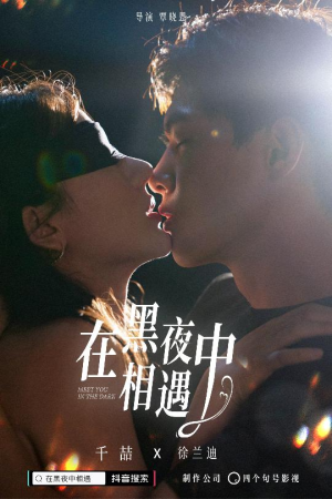 【在黑夜中相遇】32集免费在线黑夜短剧观全