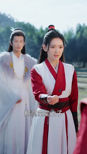 【一枕风烟录】55集短剧免费在线全集观享