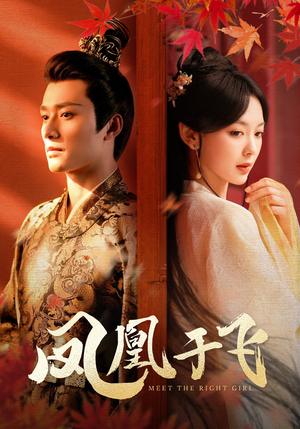 【凤凰于飞】79集高清短剧即点即看