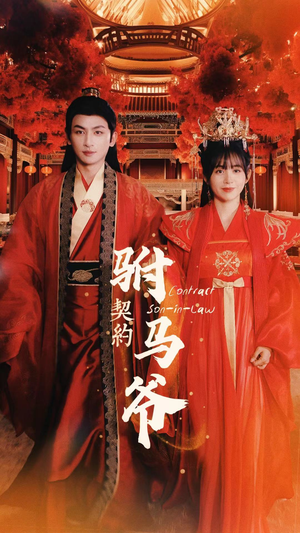 【契约驸马爷】74集短剧全集免费在线览