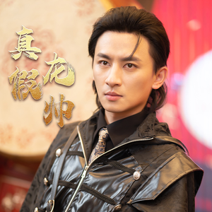 【真假龙帅】81集高清短剧免费随心看