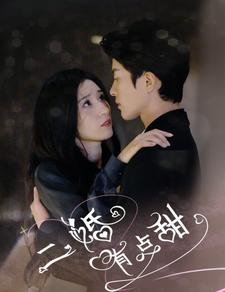 【二婚有点甜】88集短剧免费在线直看