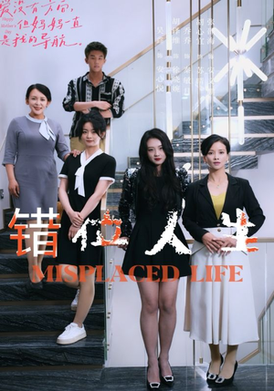 【错位人生】89集短剧在线免费完整观看