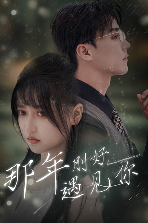 【那年遇见你】62集短剧免费高清在线观看