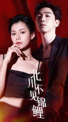 【北川不见锦鲤】72集免费短剧全集赏看