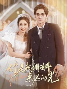 【你是我姗姗来迟的光】99集短剧免费全集线上观
