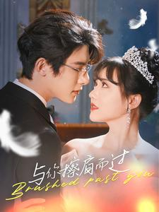 【与你擦肩而过】80集短剧免费全集高清观