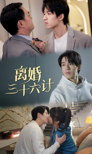 【离婚三十六计】96集短剧全集免费在线观