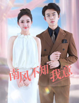 【南风不知我意】81集短剧全集免费在线速看
