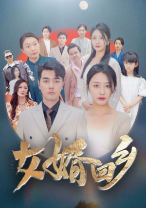 【女婿回乡】120集短剧免费在线全集看