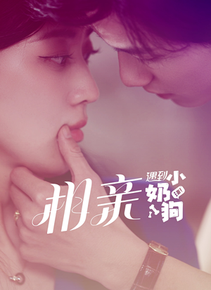 【相亲遇到小奶狗】80集短剧免费全集赏看