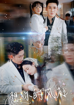 【想你时风起】69集免费短剧在线畅赏