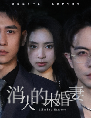【消失的未婚妻】82集在线短剧免费畅看