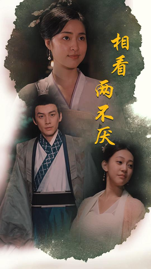 【这个王妃不好惹】85集短剧在线免费观看