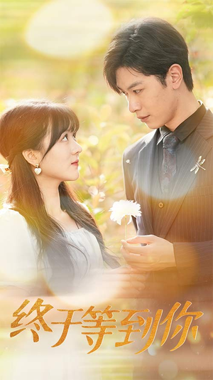 【你是我的木槿年华】80集短剧在线看免费用