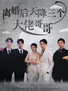 【离婚后天降三个大佬哥哥】83集短剧完整版免费观看