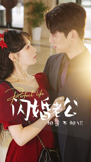 【闪婚老公相逢不相识】短剧90集免费在线观看