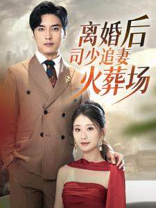 【离婚后司少追妻火葬场】87集短剧免费高清观看