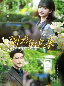 【到我身边来】100集短剧在线免费高清观