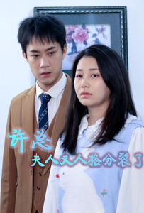 【许总，夫人又人格分裂了】85集在线免费短剧全集细看