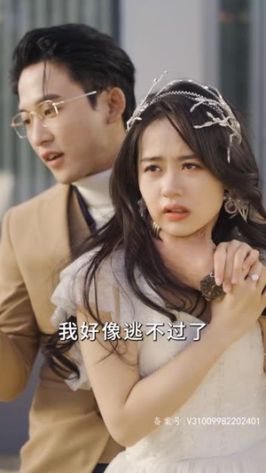 【夏秘书，请闭嘴】98集免费在线短剧赏观