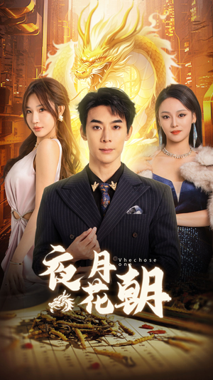 【夜月花朝】30集短剧全集免费看