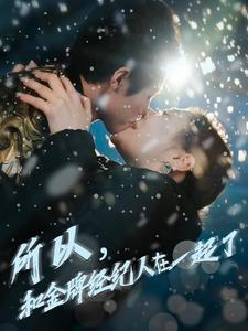 【所以和金牌经纪人在一起了】30集在线短剧免费播放