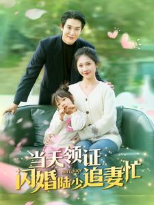 【当天领证闪婚陆少追妻忙】80集免费短剧在线直看