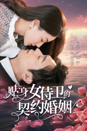 【贴身女侍卫的契约婚姻】91集免费短剧在线全看