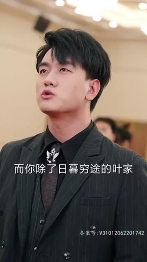 【踏雪】96集短剧免费全集流畅观看