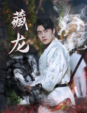 【藏龙】74集短剧免费高清在线看