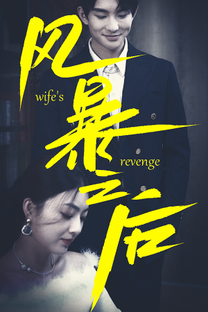 【风暴之后】80集在线短剧免费全集畅享