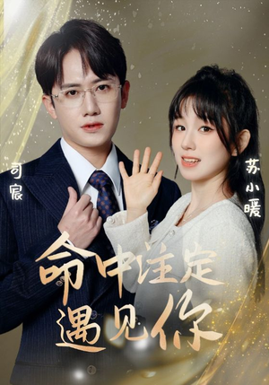 【命中注定遇见你】96集短剧在线免费观览