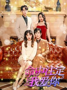 【命中注定我爱你】99集在线短剧免费观览