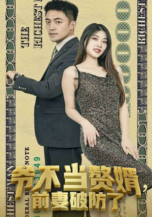 【爷不当赘婿，前妻破防了】80集夸克网盘短剧在线观