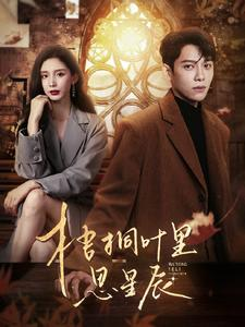 【梧桐叶里思星辰】100集短剧全集免费在线速看