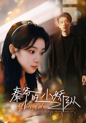 【秦爷的小娇纵】96集免费短剧在线赏