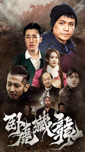 【卧虎藏龙】92集短剧免费在线速看