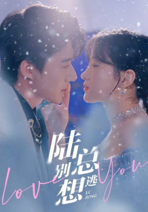 【陆总别想逃】80集短剧完整版在线赏