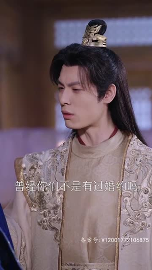 【风起萧墙】78集在线短剧全集免费观