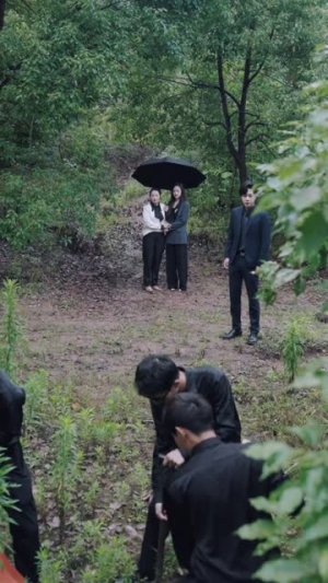 【爱随天意】59集短剧免费高清在线看